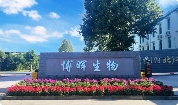 博晖生物制药（河北）有限公司